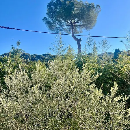De La Salis, Belle Terrasse Apartman Antibes